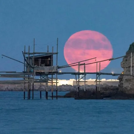 Mary House Vasto